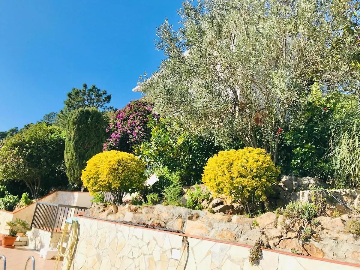 Mediterranean Villa Investingspain Sea View And Pool Lloret de Mar